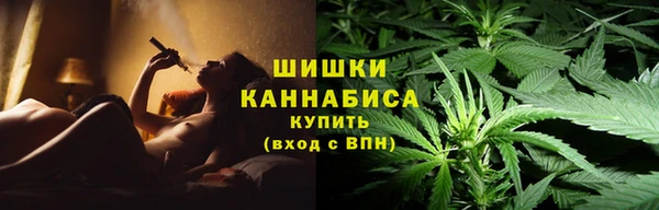 ПСИЛОЦИБИНОВЫЕ ГРИБЫ Тобольск