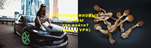 ПСИЛОЦИБИНОВЫЕ ГРИБЫ Тобольск